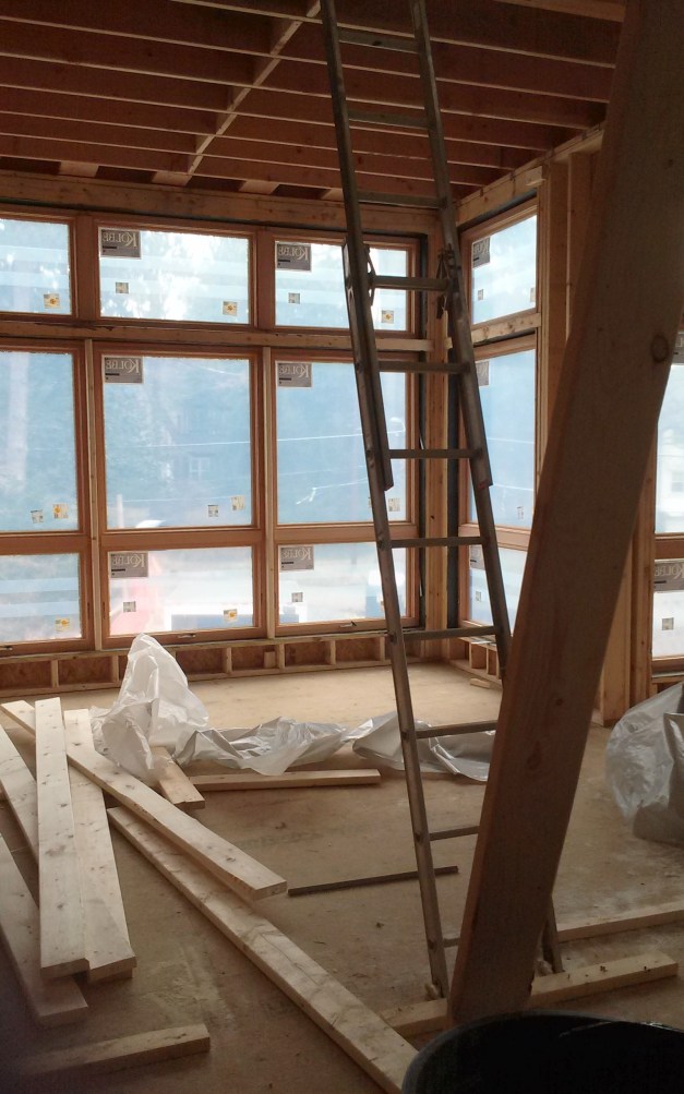 looking out from living room windows