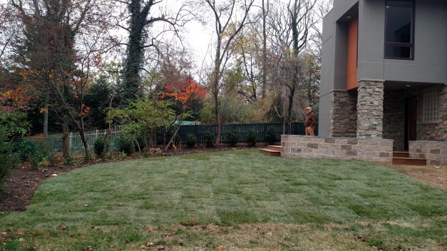 IMG_20151122_135847696