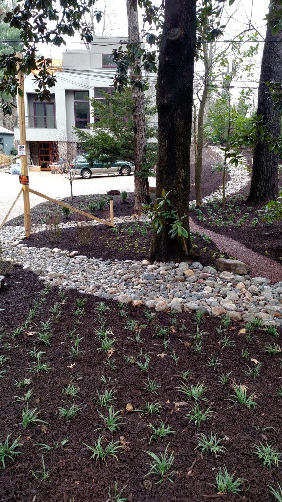 IMG_20151225_111305928